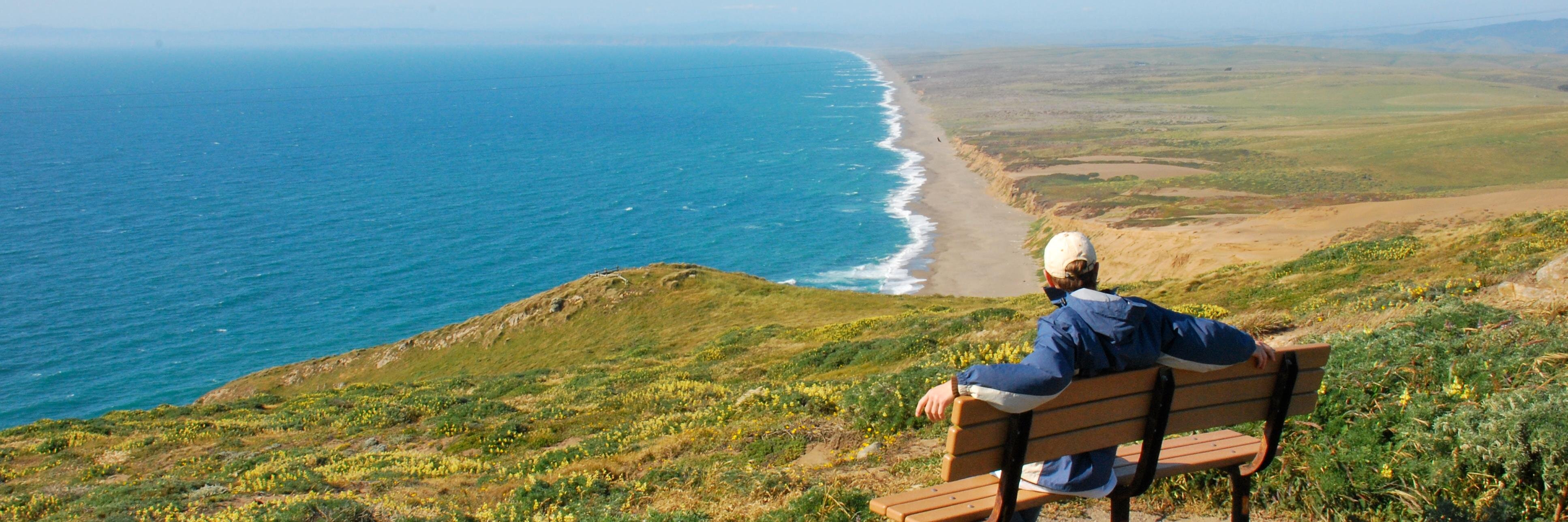 Dylan Bell banner