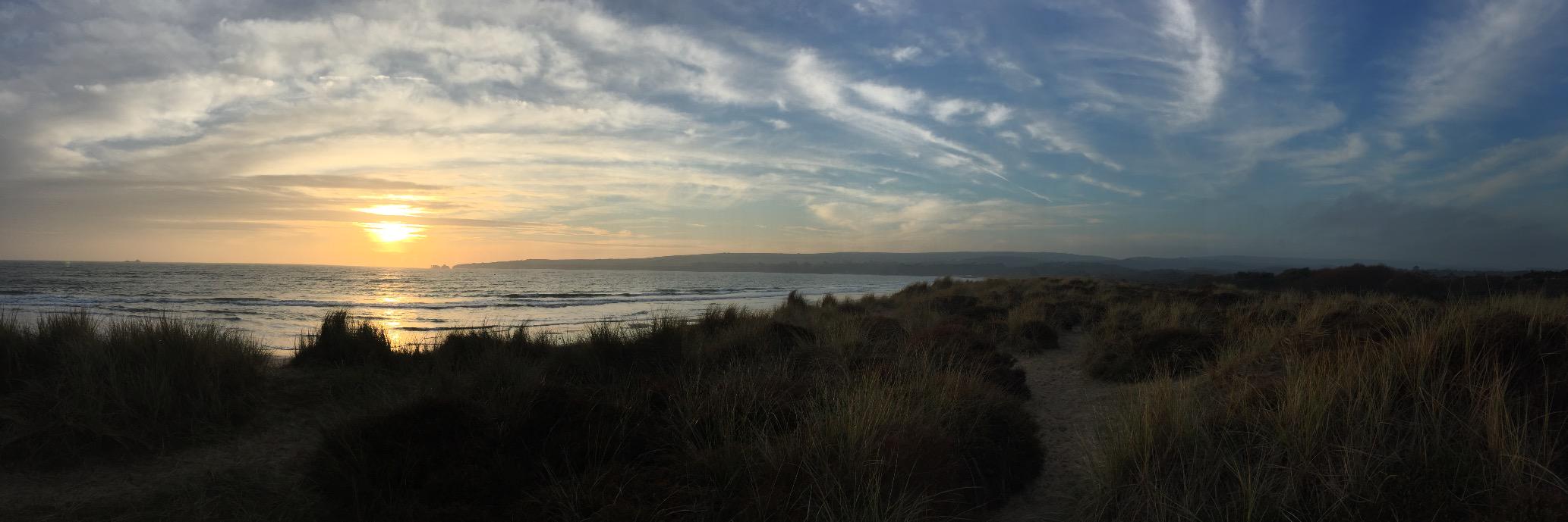Andy Bowerman banner