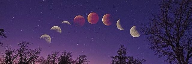 Greenwo_man's profile banner image