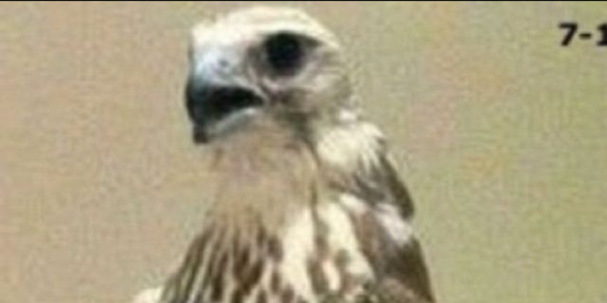 anwarkuw1's profile banner image