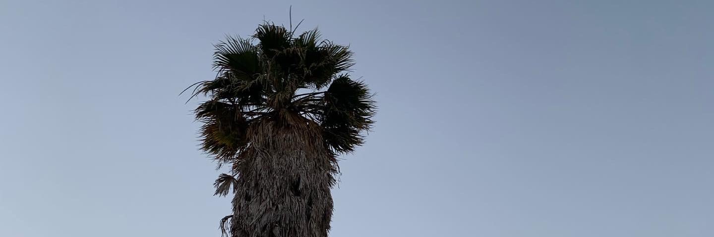 Dinopro29's profile banner image