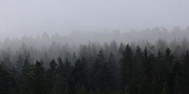 alinawdhs's profile banner image