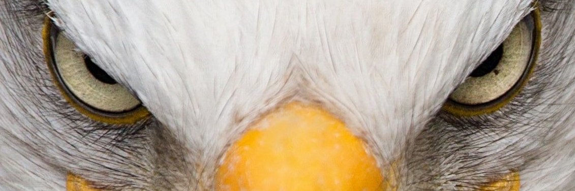 wafibaru's profile banner image