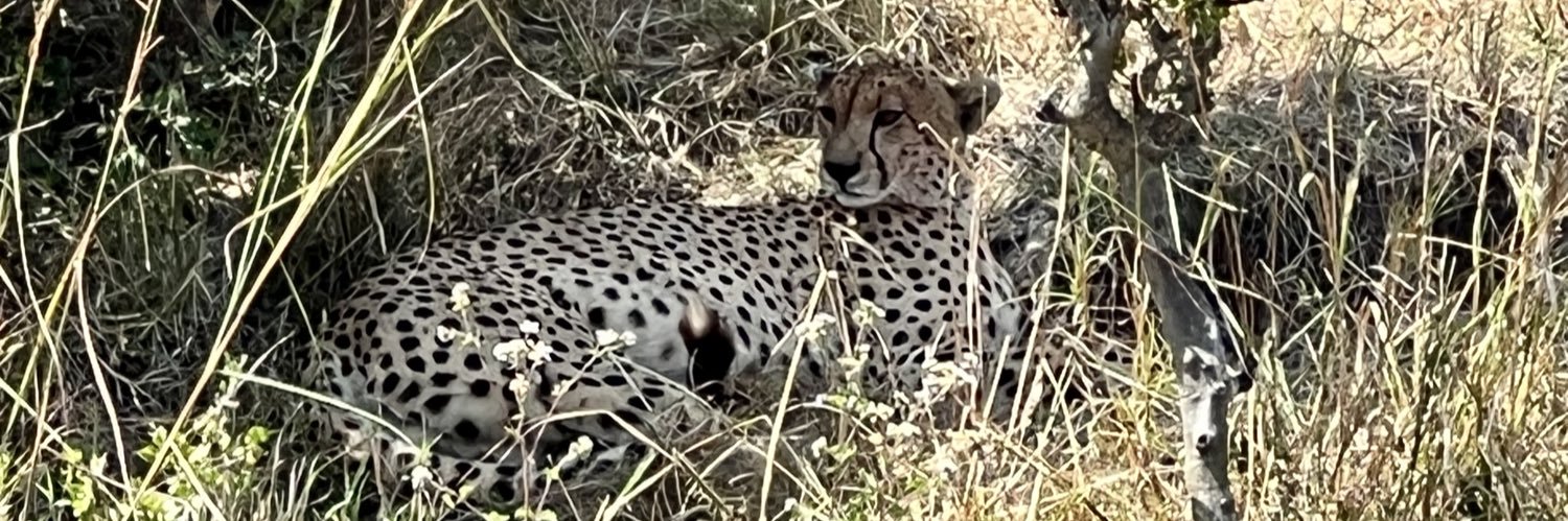 Dawn Clark, MD banner