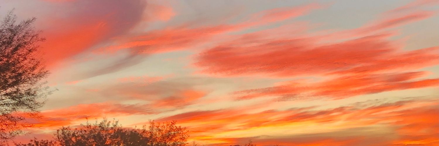 SharronKay3's profile banner image