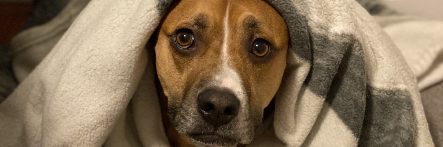 HeatherMacD5's profile banner image