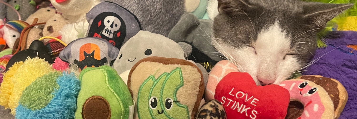 purkcell's profile banner image