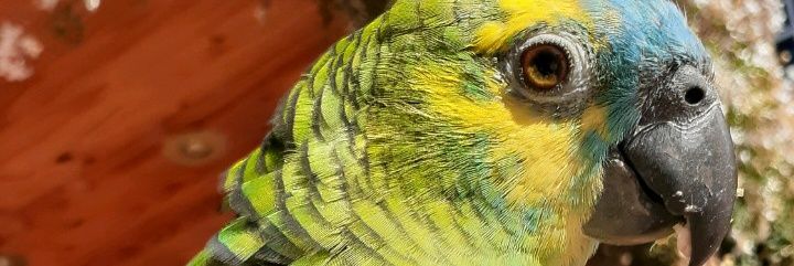 marleneailin's profile banner image