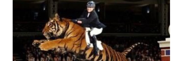 Jay Tiger Halim banner