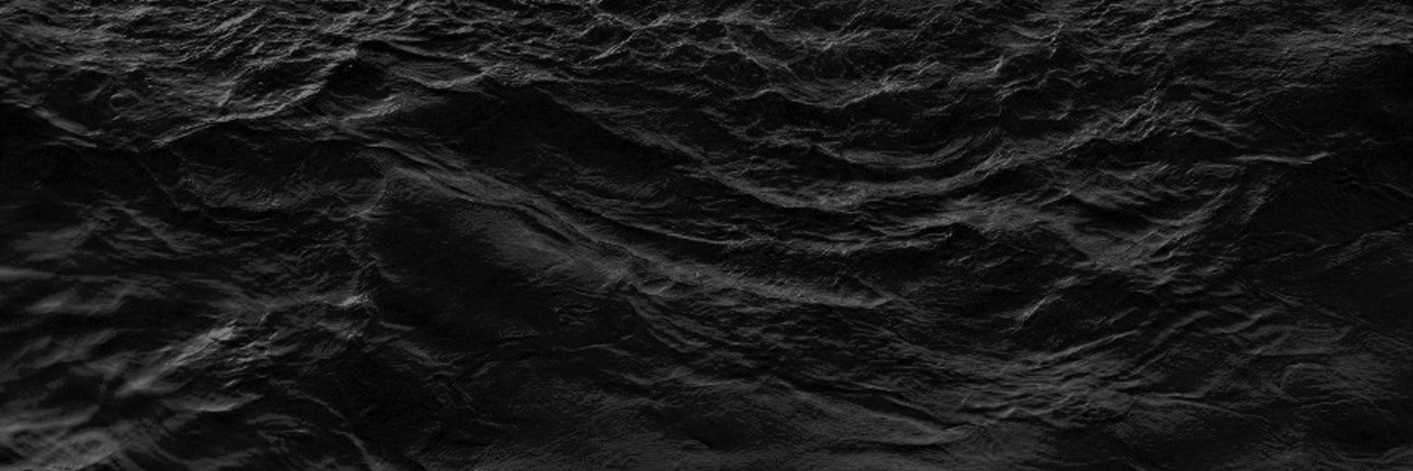 DROPOUT MARSH banner