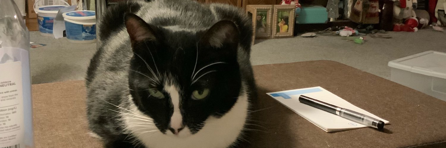 Terry McCarty banner