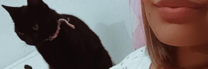 CelesteSol13's profile banner image