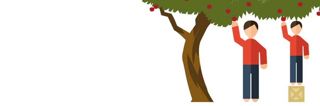 dihamis's profile banner image