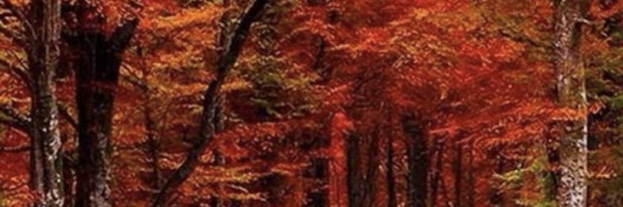 nancy_ayon's profile banner image