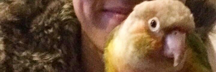 JamieLeaGray's profile banner image