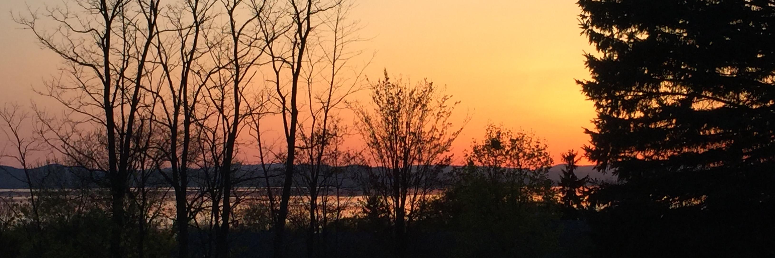 #MedicareForAll🔥 #CeaseFireNOW 🍉 banner