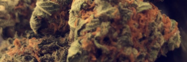 pablo_da__plug's profile banner image