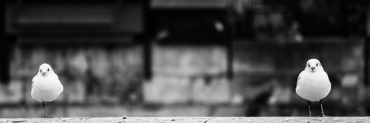 FeloSego's profile banner image