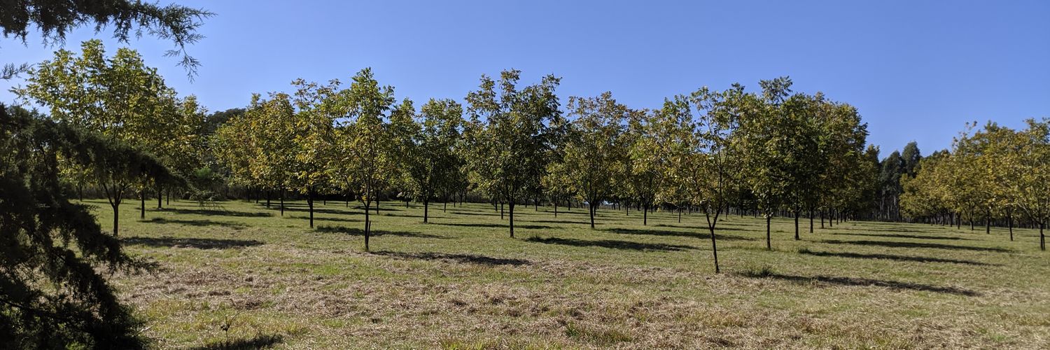 Balta_Romero's profile banner image