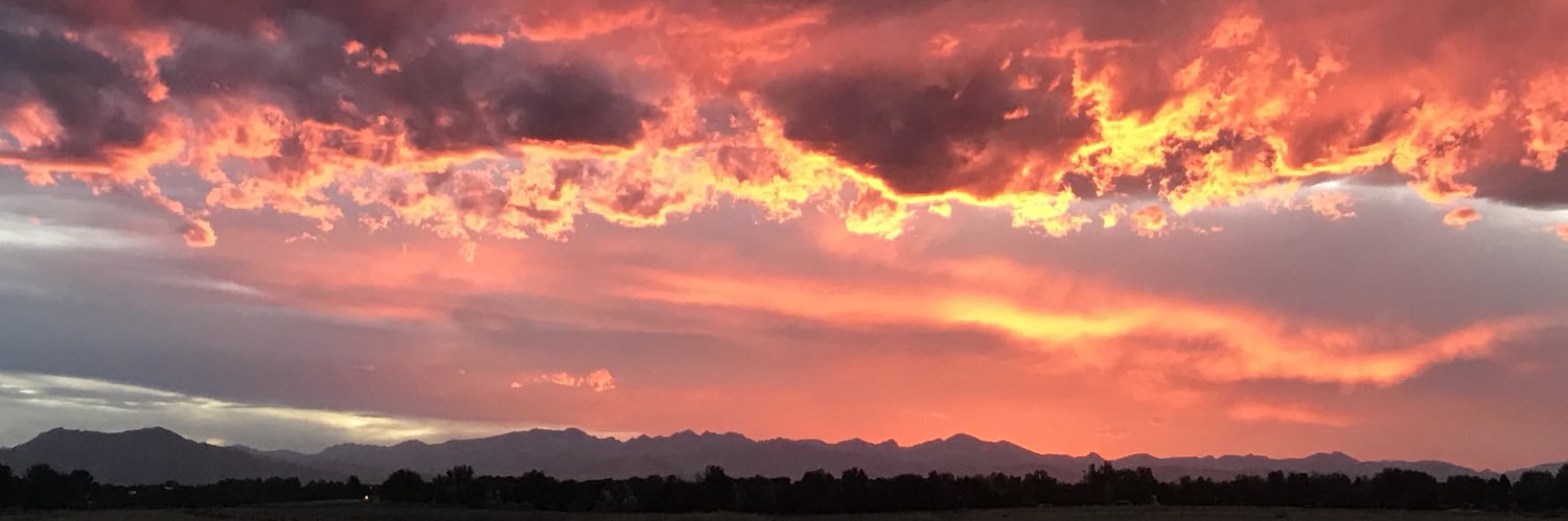 barbholliday's profile banner image
