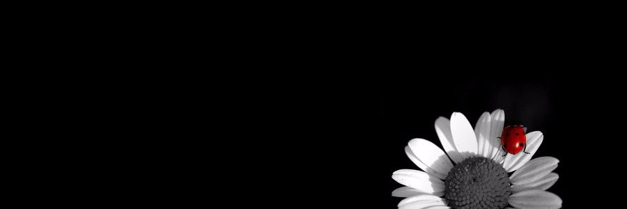 PRuenphet's profile banner image