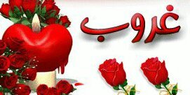 StophereFaisal8's profile banner image