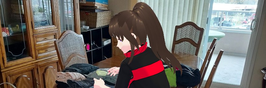 MarrandaRyujin's profile banner image