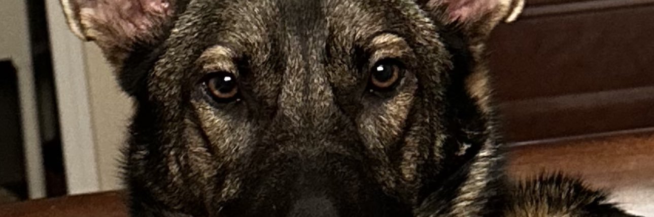 sk8ryno's profile banner image