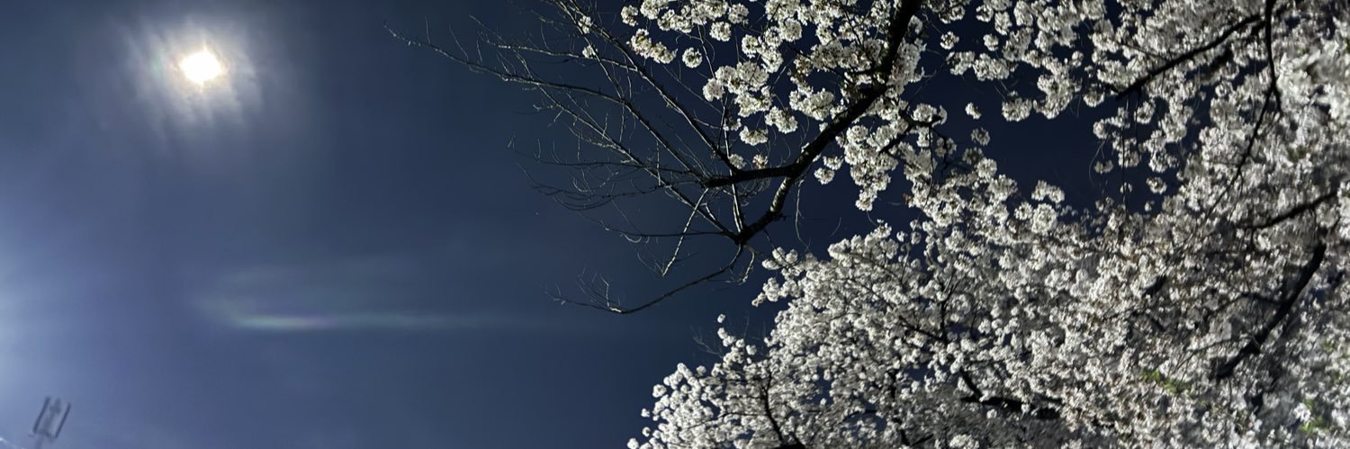 marochangoon's profile banner image