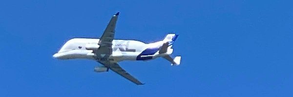 nipungupta Profile Banner