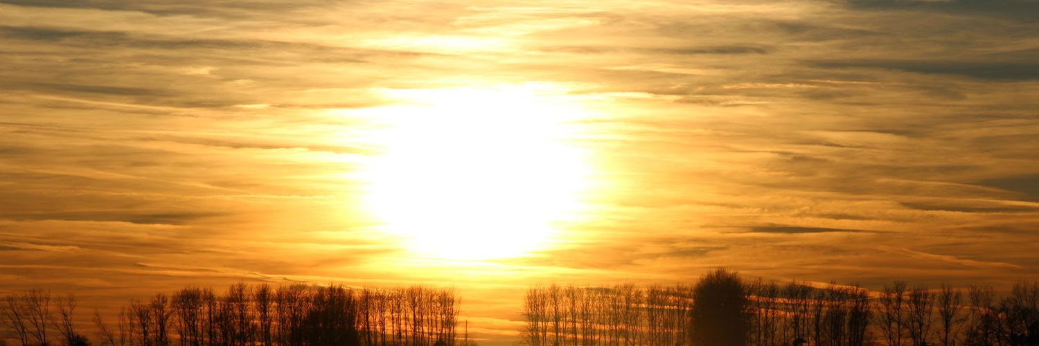 omer201101's profile banner image