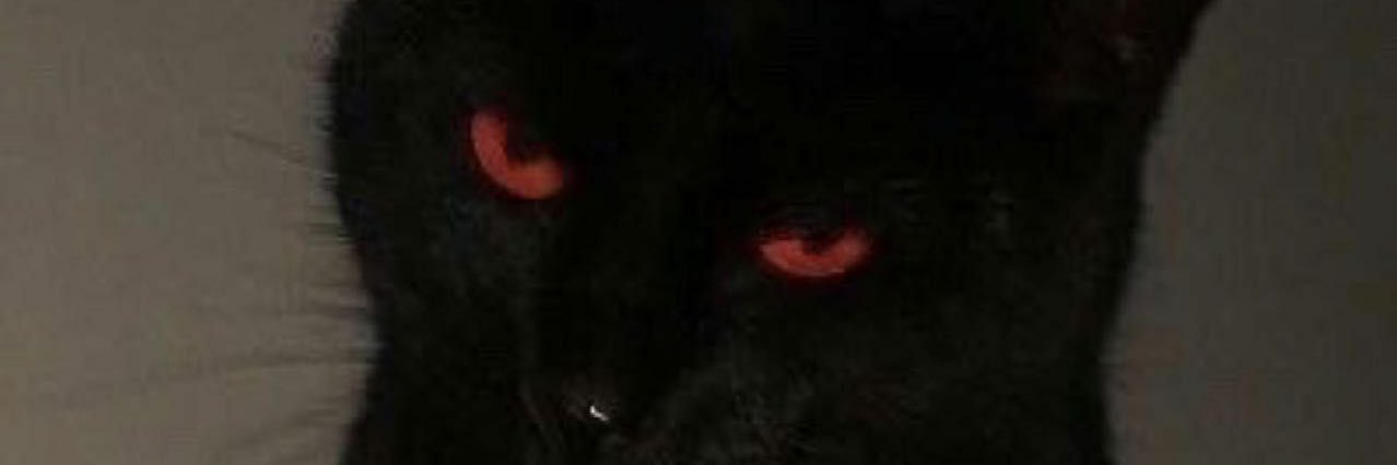ASSHOLE ANI banner