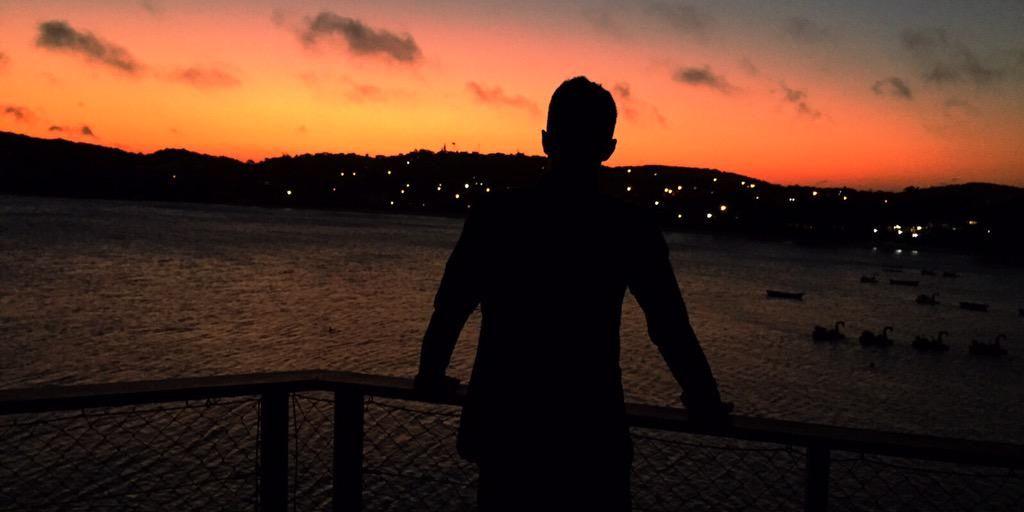 Scripted_Arlene's profile banner image