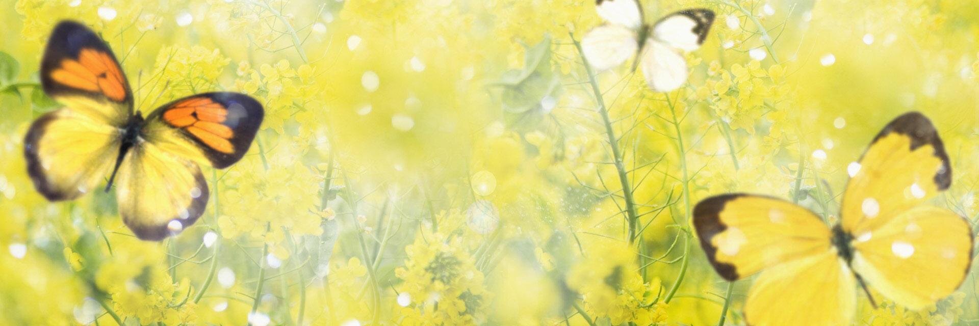 JessSheldon_'s profile banner image