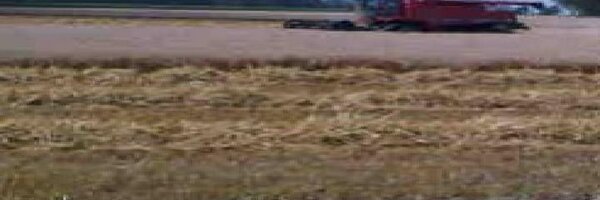 ohm_farms Profile Banner