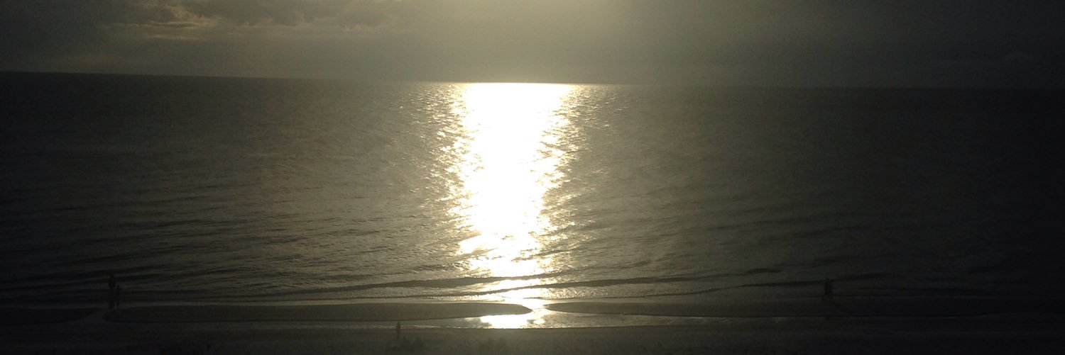 MjtnSmith's profile banner image