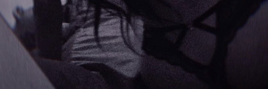 喵了個咪😽 banner