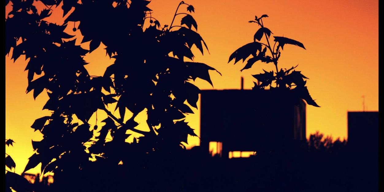 Maxi Schvindt banner