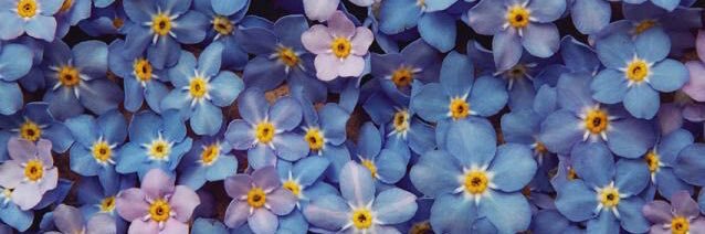 G__Alejandra's profile banner image