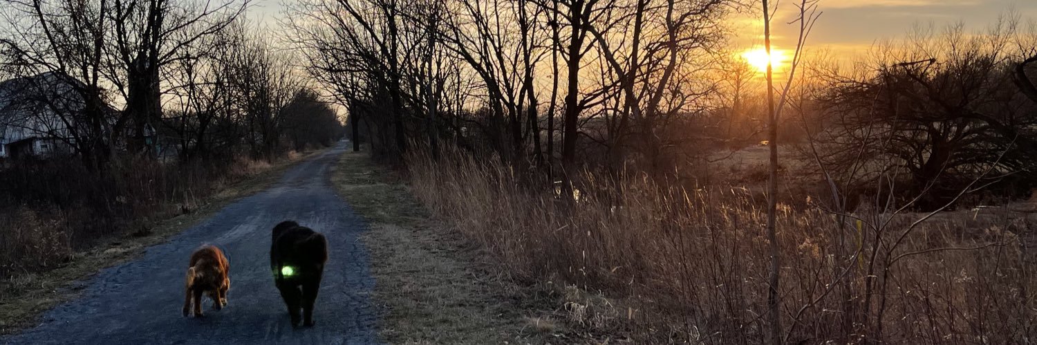 mhunterr1's profile banner image