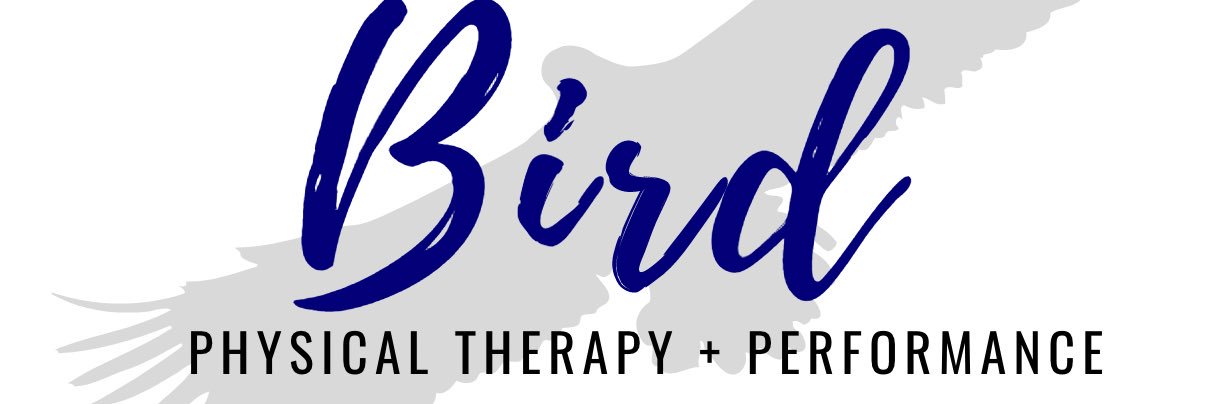 Michele Bird banner