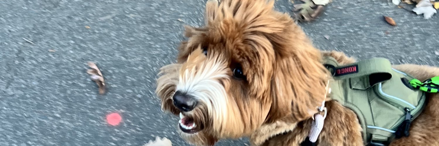 Erin Smilanich banner