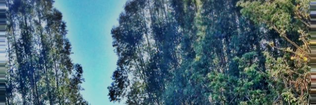 popdb's profile banner image