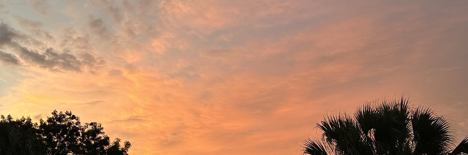 priscillaaabby's profile banner image