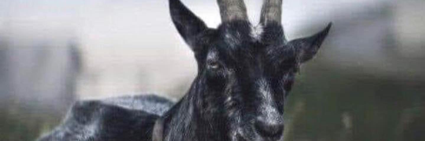 denirofake's profile banner image