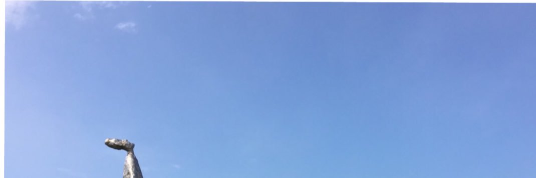 hermanmax6's profile banner image
