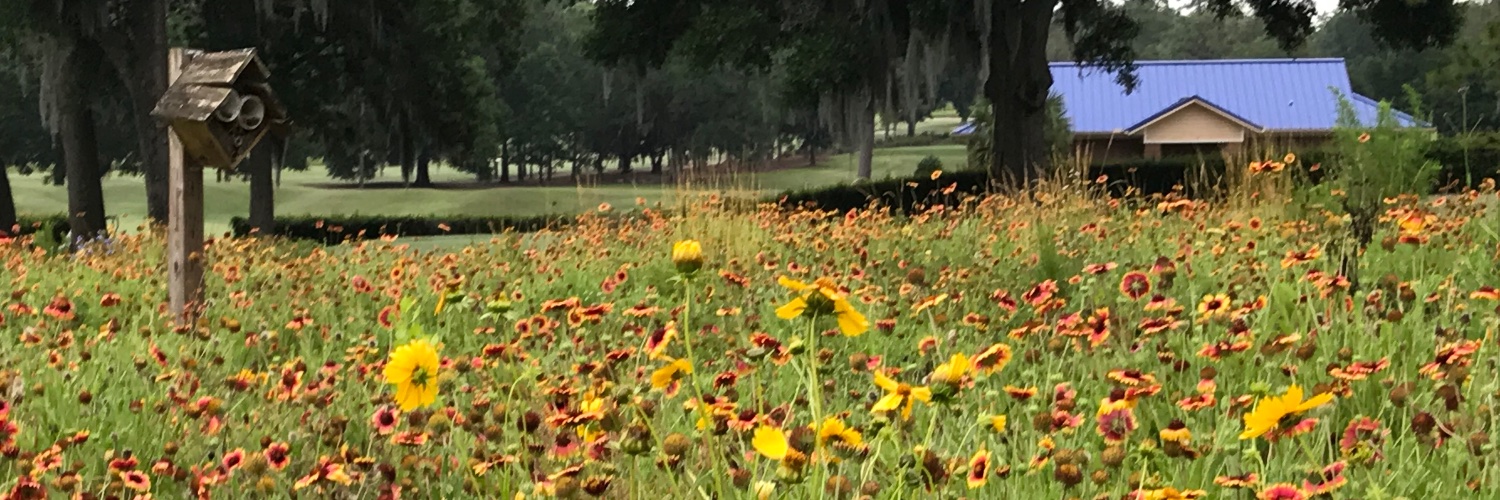 Mike Mosquera ⚡️ banner