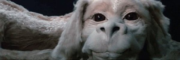 SSWfan Profile Banner