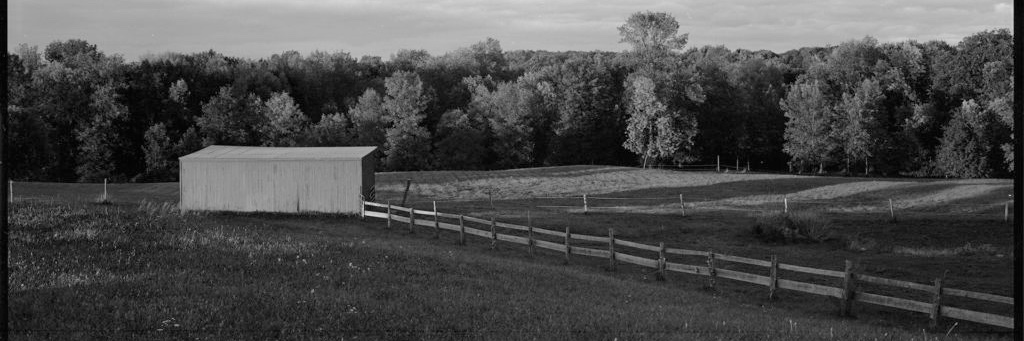 Monica Jane Frisell banner