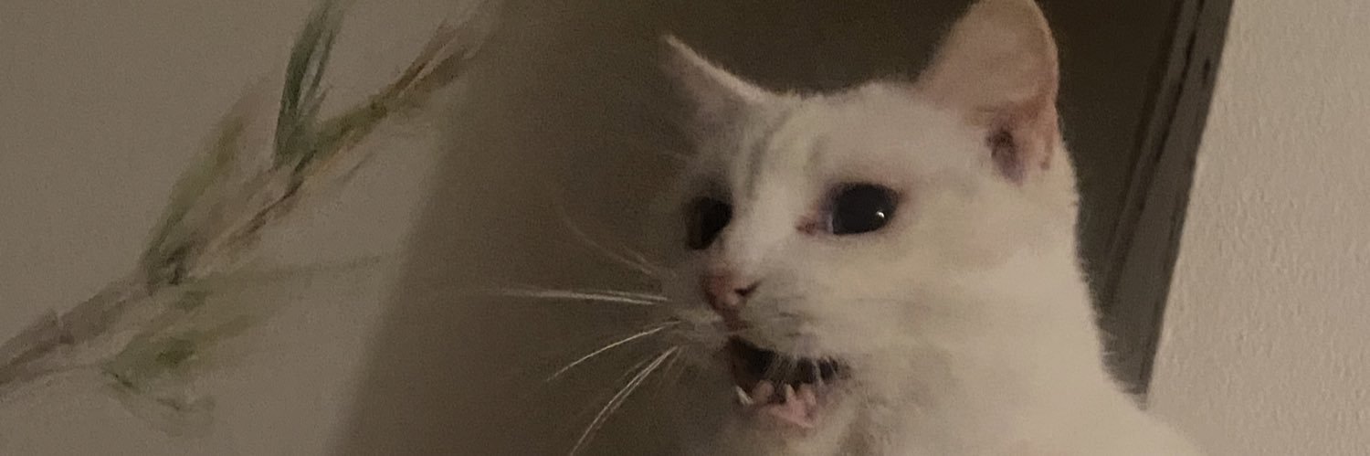 lecjadee's profile banner image
